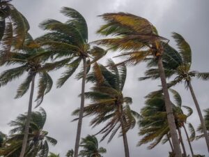 台風 窓 | MADOショップ平塚真土店（株式会社 小林建窓）