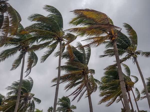 台風 窓 | MADOショップ平塚真土店（株式会社 小林建窓）